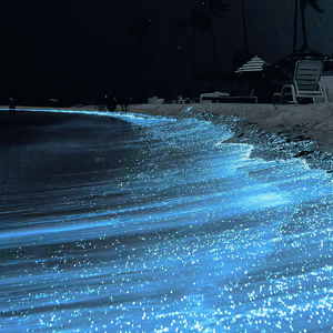 黑客破解夫妻居家恩爱
