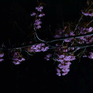 黑客破解夫妻居家恩爱
